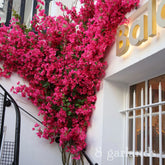 Bougainvillea Magenta Garland,Hot Pink